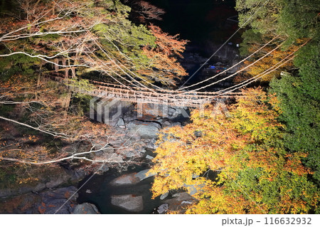 【徳島県】紅葉した祖谷のかずら橋の夜景(ライトアップ) 【徳島県】紅葉した祖谷のかずら橋の夜景(ライトアップ) 116632932