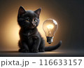 cute kitten sitting in complete darkness with a light bulb 116633157