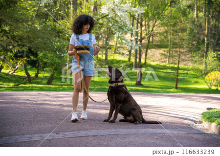 Slim young woman in shorts on a walk with her dog in the park Slim young woman in shorts on a walk with her dog in the park 116633239