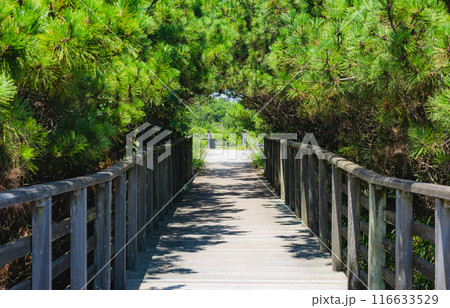 鹿島灘海公園 116633529