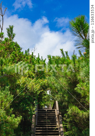 鹿島灘海公園 116633534
