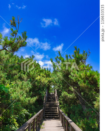鹿島灘海公園 116633535