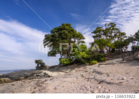砂浜から見る浦賀燈明堂の風景 砂浜から見る浦賀燈明堂の風景 116633922