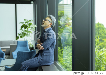 窓際のグレイヘアのビジネスマン 116634177