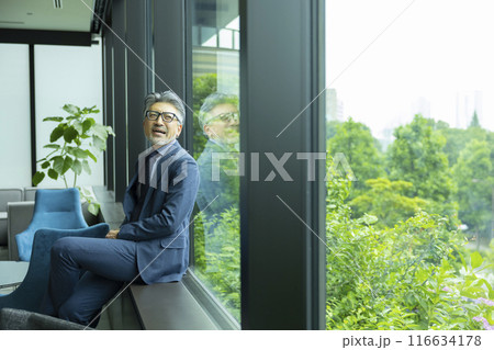 窓際のグレイヘアのビジネスマン 116634178