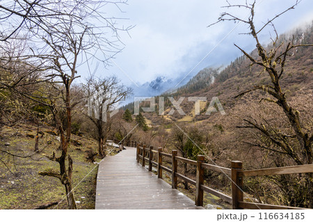 Boardwalk at Changping Valley, Siguniang National Park for hiking tourists to appreciate the scenic landscape in early spring with snow Boardwalk at Changping Valley, Siguniang National Park for hiking tourists to appreciate the scenic landscape in early spring with snow 116634185
