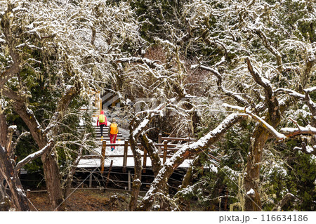 Boardwalk at Changping Valley, Siguniang National Park for hiking tourists to appreciate the scenic landscape in early spring with snow Boardwalk at Changping Valley, Siguniang National Park for hiking tourists to appreciate the scenic landscape in early spring with snow 116634186