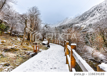 Boardwalk at Changping Valley, Siguniang National Park for hiking tourists to appreciate the scenic landscape in early spring with snow Boardwalk at Changping Valley, Siguniang National Park for hiking tourists to appreciate the scenic landscape in early spring with snow 116634189