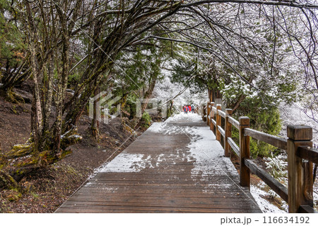 Boardwalk at Changping Valley, Siguniang National Park for hiking tourists to appreciate the scenic landscape in early spring with snow 116634192