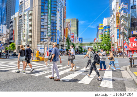東京都千代田区の都市風景　秋葉原 116634204