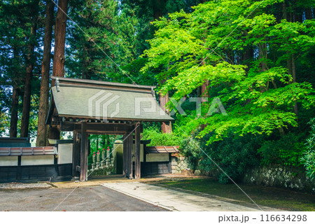 【西福寺】新緑と山門【塩尻市】 116634298