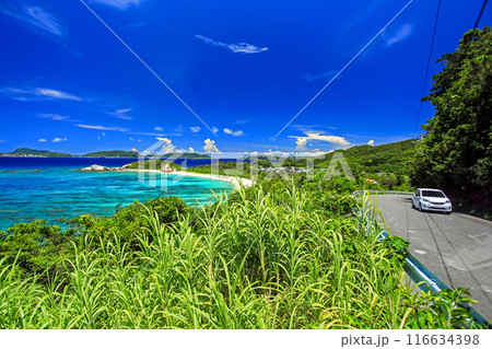 夏の沖縄　渡嘉敷島ドライブ 116634398