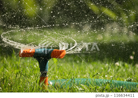 Garden sprinkler on sunny summer day during watering green lawn in garden. Automatic smart irrigation system. Close up. 116634411