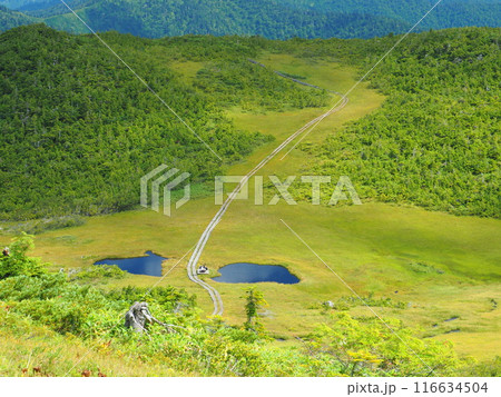 尾瀬・燧ヶ岳の熊沢田代 116634504