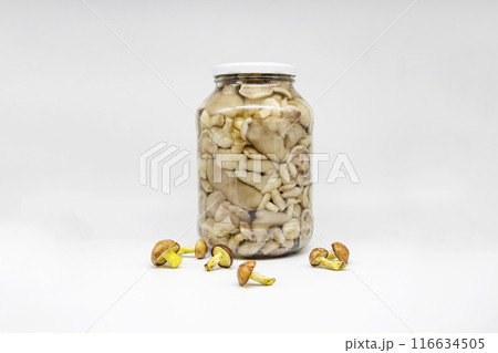 Pickled butter mushrooms in a jar. The jar with mushrooms inside 116634505