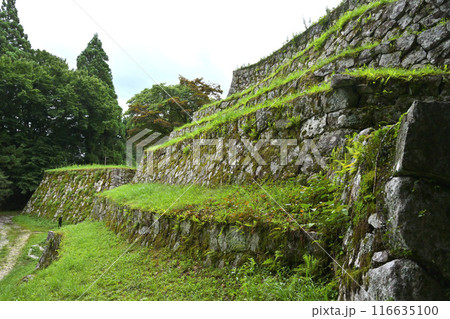 岩村城 岩村城 116635100