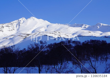 雪原から見る冬季鳥海山と外輪山 雪原から見る冬季鳥海山と外輪山 116635184