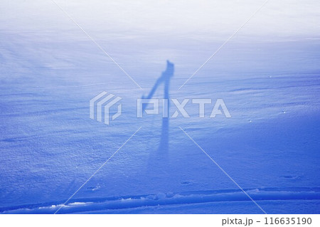 冬季鳥海山の雪原の歩く登山者の影 冬季鳥海山の雪原の歩く登山者の影 116635190