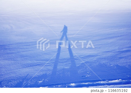 冬季鳥海山の雪原の歩く登山者の影 冬季鳥海山の雪原の歩く登山者の影 116635192