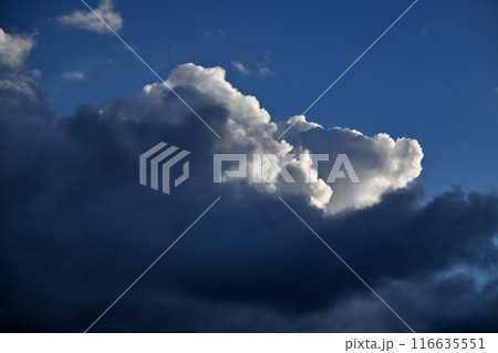 青空に浮かぶ白い雲 青空に浮かぶ白い雲 116635551