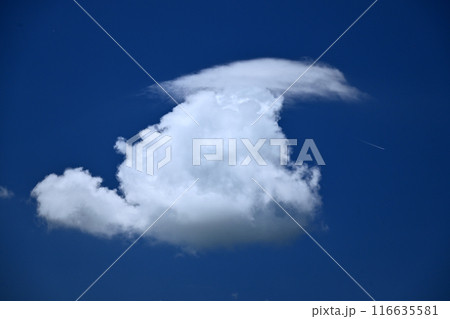 青空に浮かぶ白い雲 青空に浮かぶ白い雲 116635581