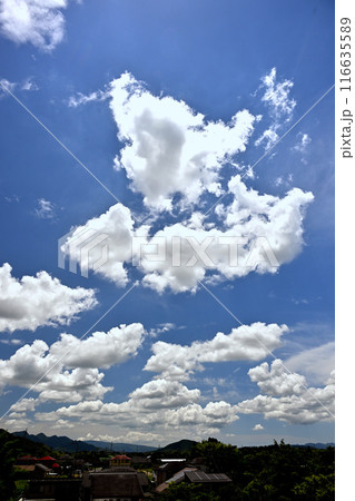 青空に浮かぶ白い雲 青空に浮かぶ白い雲 116635589