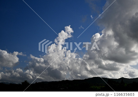 青空に浮かぶ白い雲 青空に浮かぶ白い雲 116635603
