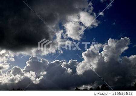 青空に浮かぶ白い雲 青空に浮かぶ白い雲 116635612