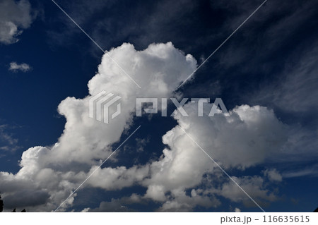青空に浮かぶ白い雲 青空に浮かぶ白い雲 116635615