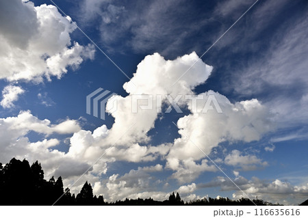 青空に浮かぶ白い雲 116635616