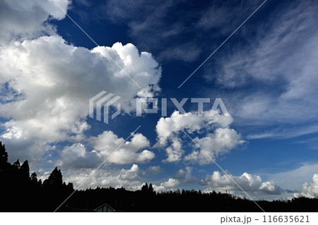 青空に浮かぶ白い雲 青空に浮かぶ白い雲 116635621