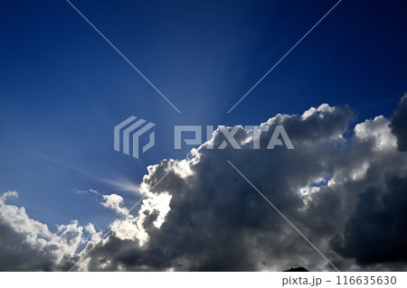 雲の合間から差し込む陽光 雲の合間から差し込む陽光 116635630