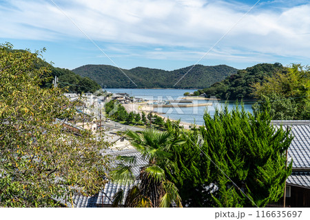 初秋の坂越　展望広場から見た坂越浦　兵庫県赤穂市 116635697