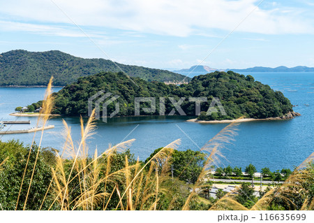 初秋の坂越 生島の風景2 兵庫県赤穂市 初秋の坂越 生島の風景2 兵庫県赤穂市 116635699