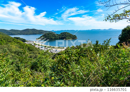 初秋の坂越　生島の風景3　兵庫県赤穂市 116635701
