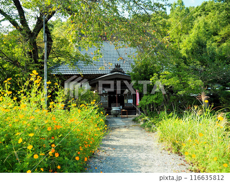 秩父・長瀞七草寺・遍照寺 秩父・長瀞七草寺・遍照寺 116635812