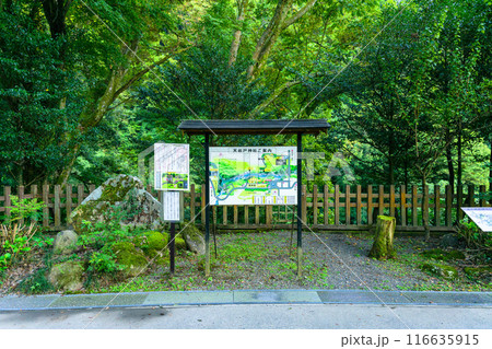 看板・案内板　天岩戸神社 “神話”の聖地＆ パワースポットを巡る旅に映える天岩戸神社(高千穂町) 116635915