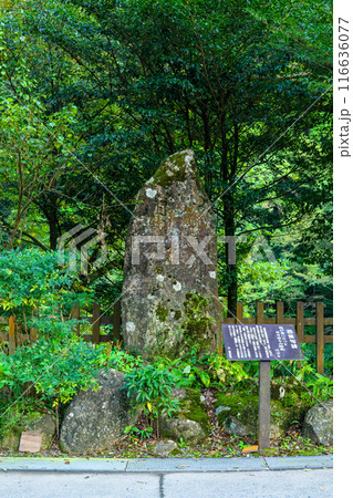 芭蕉句碑　天岩戸神社 “神話”の聖地＆ パワースポットを巡る旅に映える天岩戸神社(高千穂町) 116636077