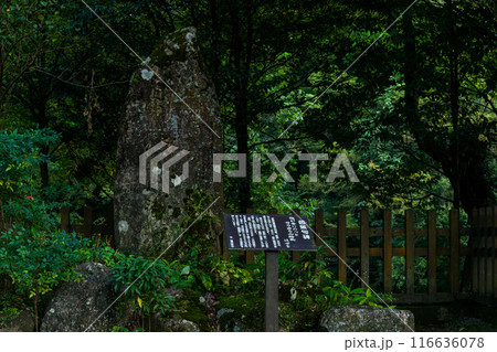 芭蕉句碑 天岩戸神社 “神話”の聖地& パワースポットを巡る旅に映える天岩戸神社(高千穂町) 芭蕉句碑 天岩戸神社 “神話”の聖地& パワースポットを巡る旅に映える天岩戸神社(高千穂町) 116636078