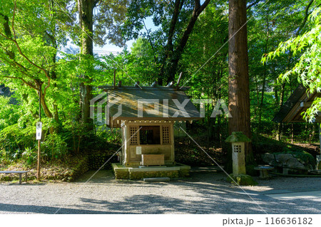境内風景　天岩戸神社 “神話”の聖地＆ パワースポットを巡る旅に映える天岩戸神社(高千穂町) 116636182