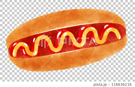 アメリカのパンのイラスト Hot Dog(ホットドッグ) アメリカのパンのイラスト Hot Dog(ホットドッグ) 116636216