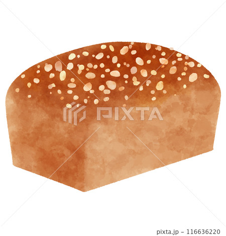 アメリカのパンのイラスト Whole Wheat Bread(ホールホイートブレッド) アメリカのパンのイラスト Whole Wheat Bread(ホールホイートブレッド) 116636220