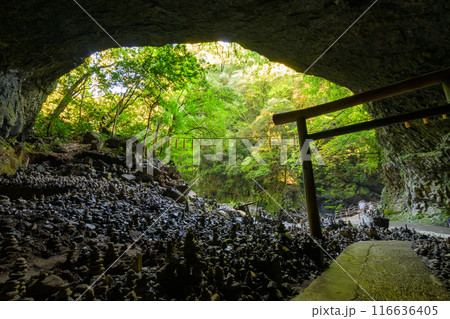 天岩戸神社 西本宮　 “神話”の聖地＆ パワースポットを巡る旅に映える天岩戸神社(高千穂町) 116636405