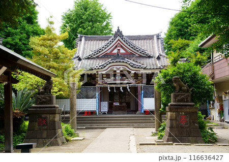 若宮八幡宮／拝殿（神奈川県川崎市川崎区） 116636427
