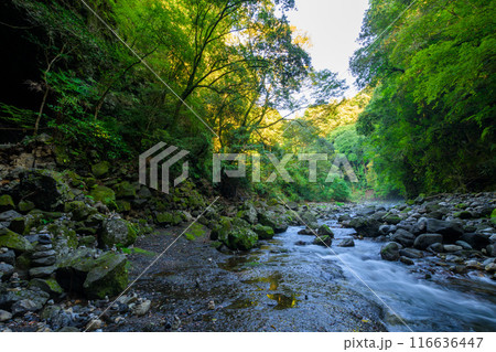 天岩戸神社 西本宮周辺風景　 “神話”の聖地＆ パワースポットを巡る旅に映える天岩戸神社(高千穂町) 116636447