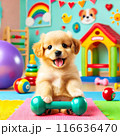 ワンちゃんトレーニング 116636470