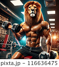 ライオントレーニング 116636475