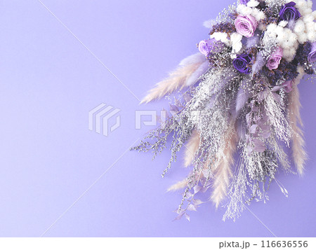 紫の花束 紫の花束 116636556