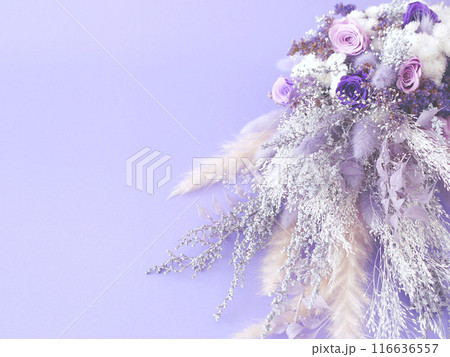 紫の花束 紫の花束 116636557