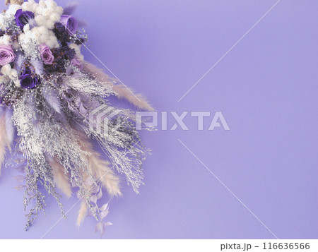 紫の花束 紫の花束 116636566